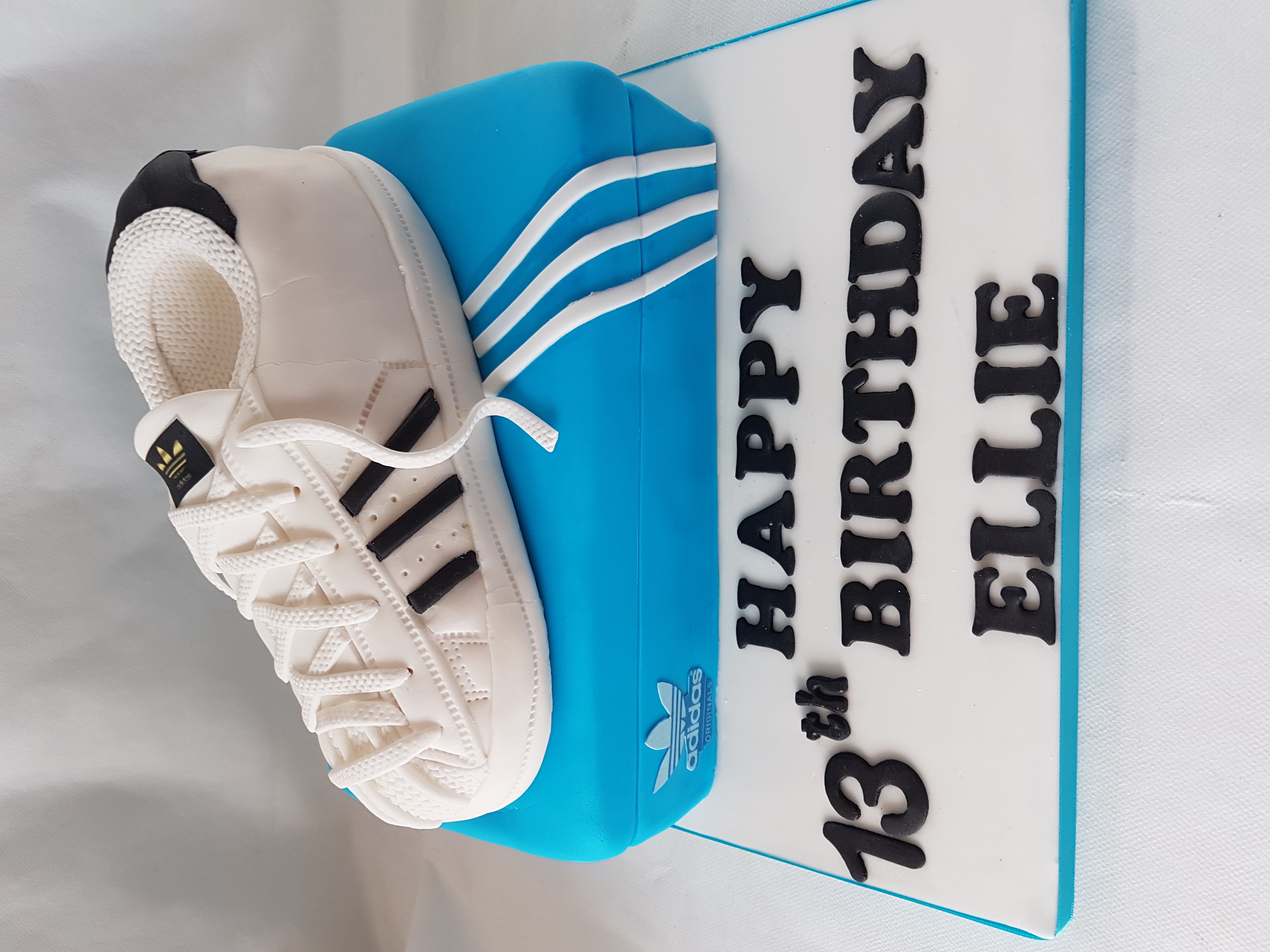 Kids Novelty Cakes 1