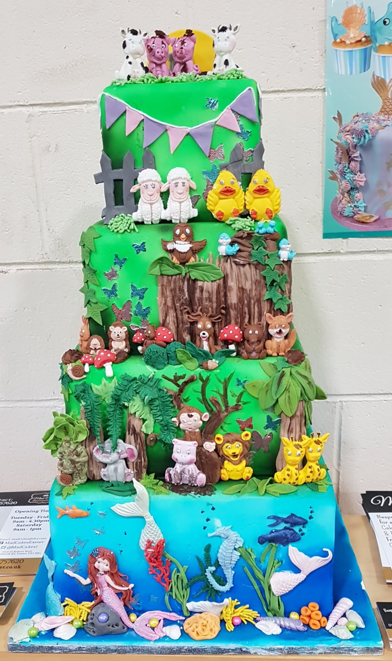 Kids Novelty Cakes 40