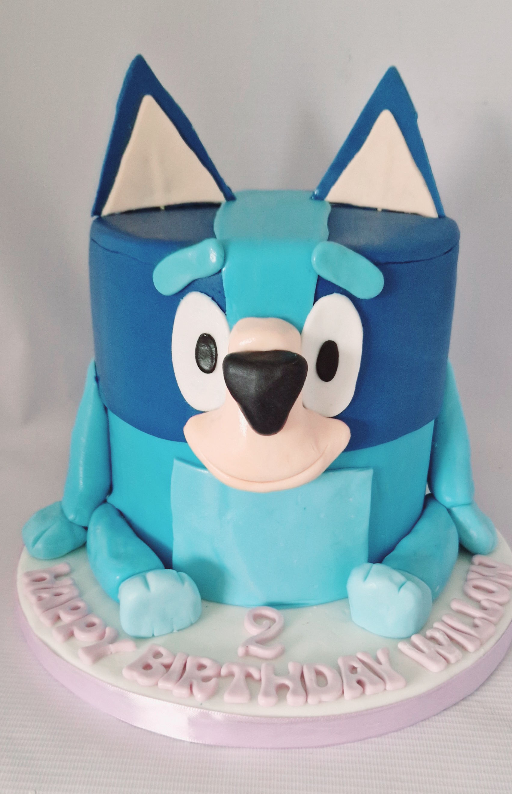 Kids Novelty Cakes 64